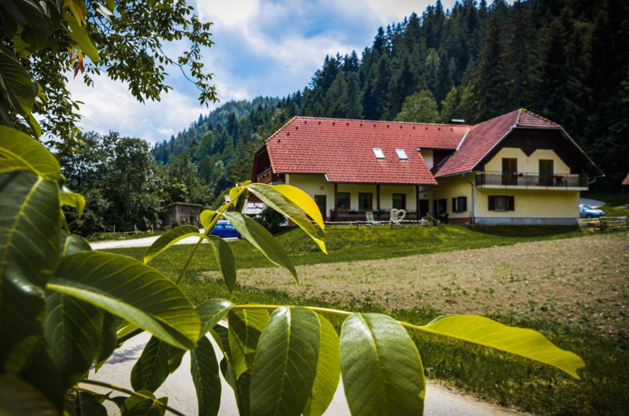 Farm Stay Loger Ljubno Exteriör bild